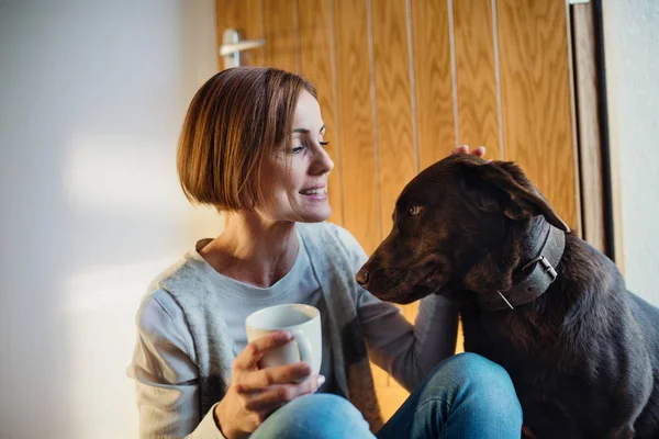 Una joven sentada en el suelo en casa, jugando con un perro . —  Fotos de Stock