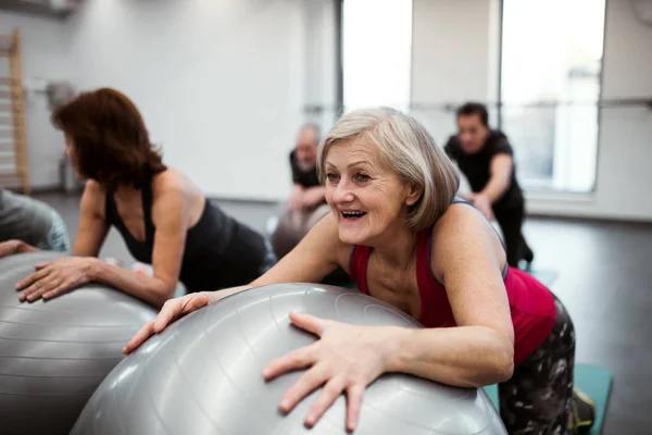 Grupo de idosos alegres do sexo feminino no ginásio fazendo exercício em bolas de ajuste . — Fotografia de Stock