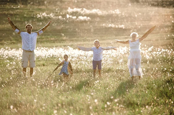 Jong gezin met kleine kinderen spelen op een weide in de natuur. — Stockfoto