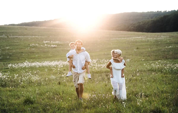 Rodziny z małymi dziećmi, chodzenie na łąkę o zachodzie słońca latem. — Zdjęcie stockowe