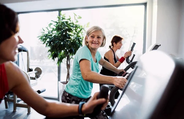 Eine Gruppe Senioren im Fitnessstudio mit einem jungen Trainer beim Cardio-Training. — Stockfoto