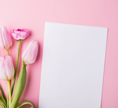 Paskalya ve bahar düz pembe bir arka plan üzerinde yatıyordu. Kopya alanı.