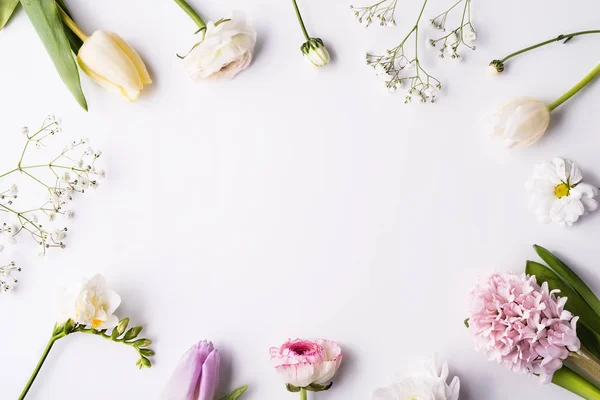 Various spring flowers on a white background. Copy space. — Stock Photo, Image