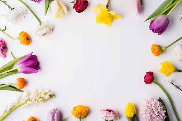 Várias flores de primavera em um contexto branco. Espaço de cópia . — Fotografia de Stock