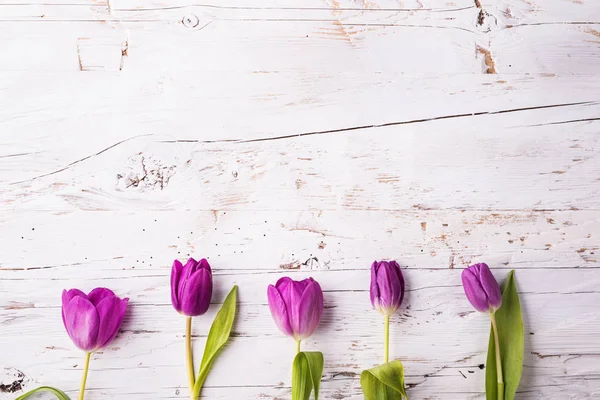 Paarse tulp bloemen op een witte houten achtergrond. Kopiëren van ruimte. — Stockfoto