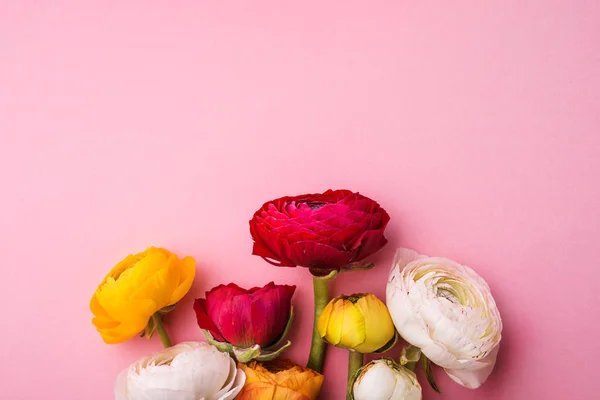 Bunte Blumen auf rosa Hintergrund. Kopierraum. — Stockfoto