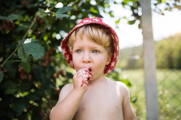 Piccolo ragazzo con un cappello in piedi all'aperto in giardino in estate. Copia spazio . — Foto Stock