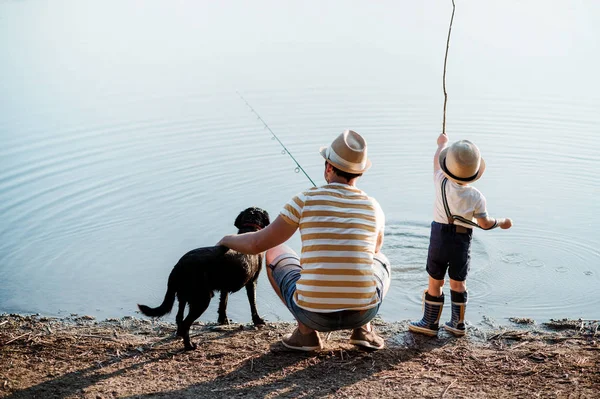 小さな幼児の息子と湖で釣りにアウトドアの犬と父の背面図. — ストック写真