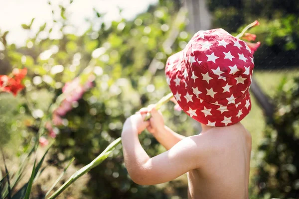 Vista trasera de niño pequeño con un sombrero de pie al aire libre en el jardín en verano . —  Fotos de Stock