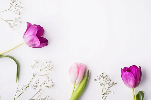 Various spring flowers on a white background. Copy space. — Stock Photo, Image