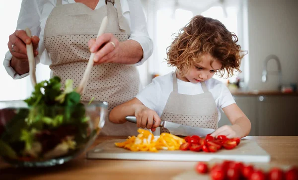 Un retrato de niña pequeña con abuela en casa, preparando ensalada de verduras . —  Fotos de Stock