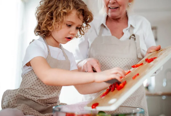 Un retrato de niña pequeña con abuela en casa, preparando ensalada de verduras . —  Fotos de Stock