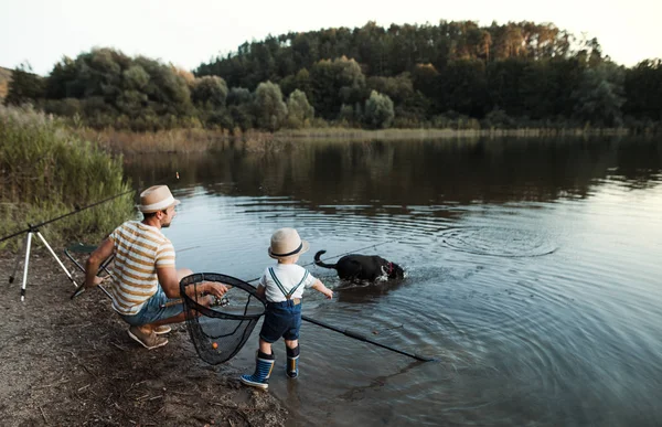Un padre maturo con un piccolo figlio bambino e cane all'aperto che pesca vicino a un lago . — Foto Stock