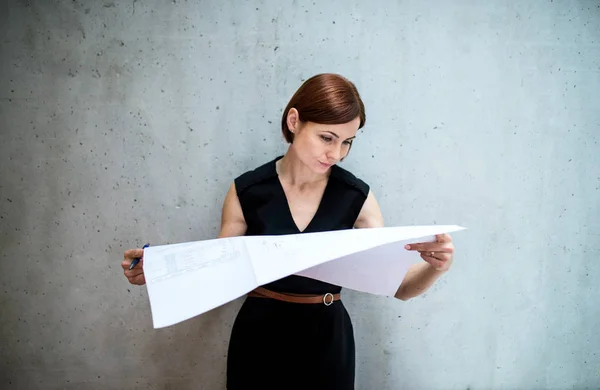 Молода бізнес-леді або архітектор з кресленнями, що стоять в офісі . — стокове фото