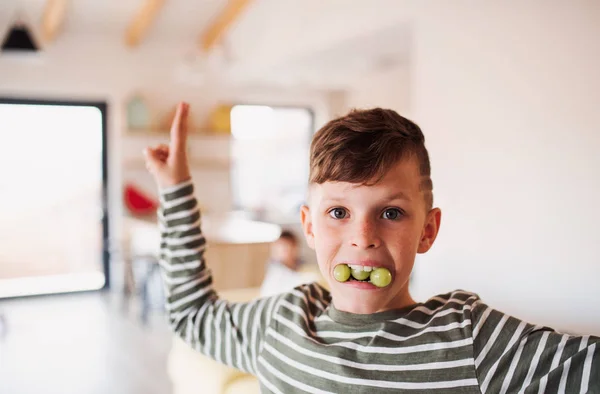 Un ritratto di un ragazzino che mangia uva in casa, divertendosi. Copia spazio . — Foto Stock