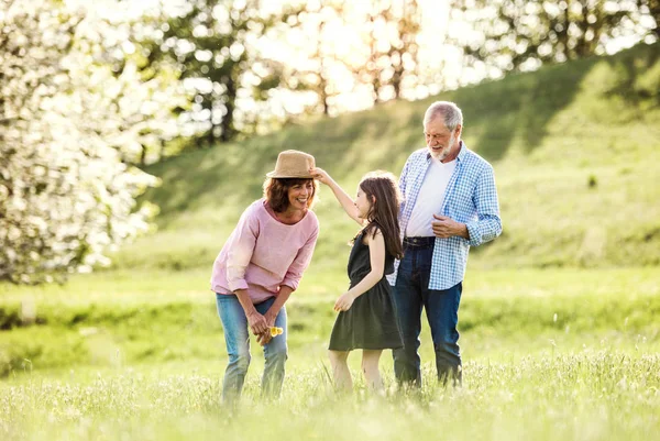 Pareja mayor con nieta afuera en la naturaleza de primavera, divirtiéndose . — Foto de Stock