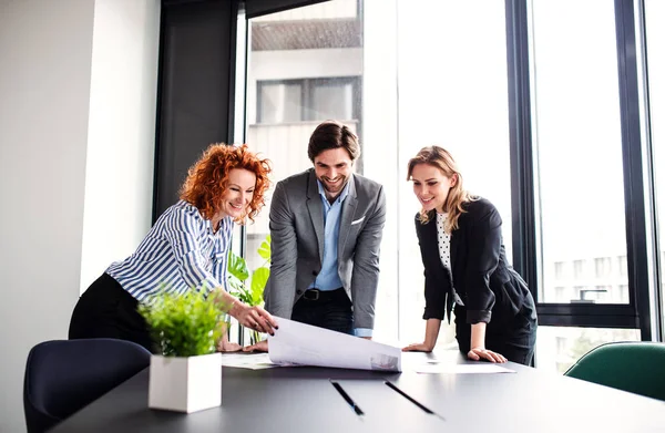 A group of young business people with documents standing in an office, talking. — Stock Photo, Image