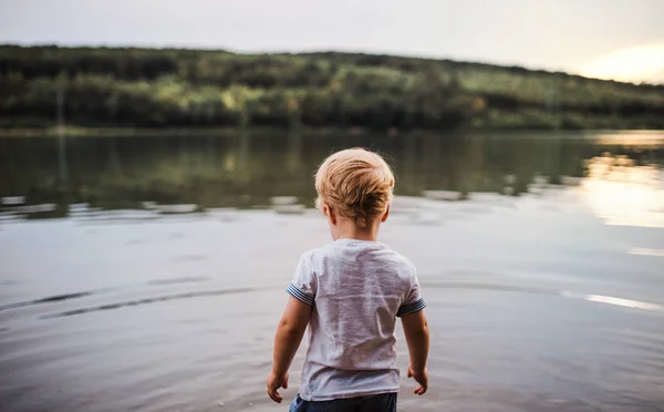 Achteraanzicht van kleine peuter jongen buiten wandelen in een rivier in de zomer. — Stockfoto