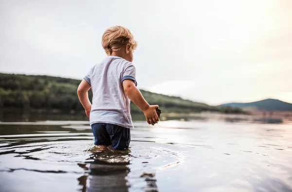 Een natte, kleine peuter jongen wandelen buiten in een rivier in de zomer, spelen. — Stockfoto