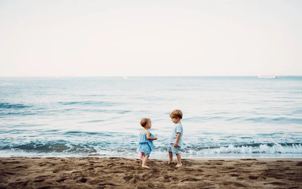 Dva batole děti hrají na písečné pláži na letních prázdninách. — Stock fotografie
