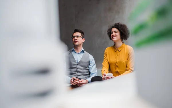 Dos jóvenes empresarios sentados en el cargo. Copiar espacio . — Foto de Stock