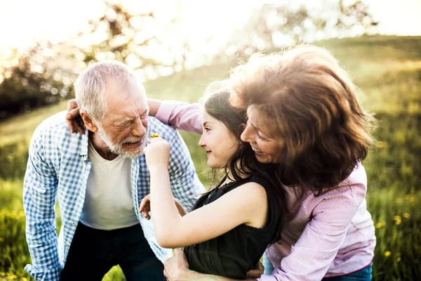 Senior couple with granddaughter outside in spring nature, having fun. — Stock Photo, Image