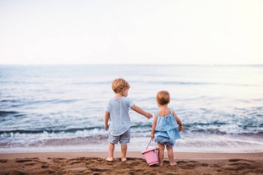 Yaz tatilinde kum sahilde oynayan iki yeni yürümeye başlayan çocuğun arka görünümü.