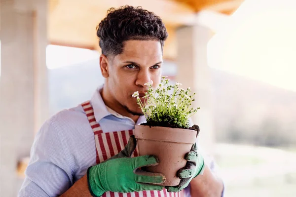 A portrait of young man gardener indoors at home, planting flowers. — Stock Photo, Image
