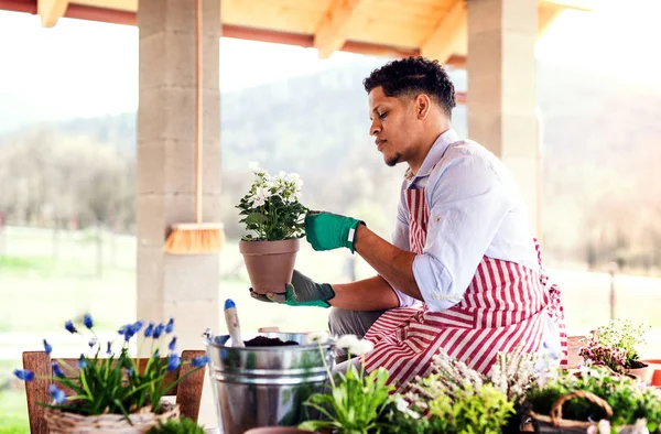 Um retrato do jovem jardineiro ao ar livre em casa, plantando flores . — Fotografia de Stock