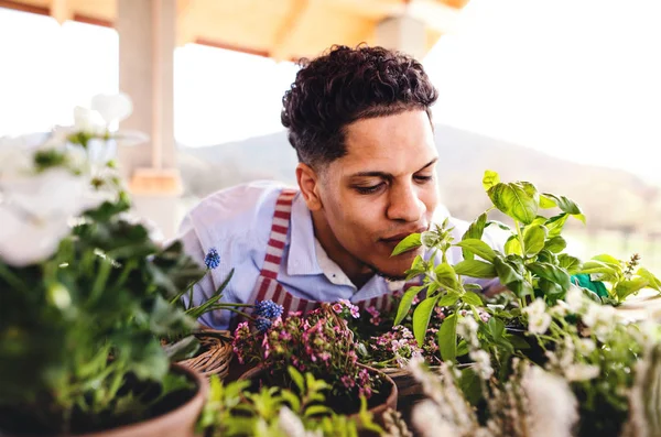 Una vista frontal del joven jardinero al aire libre en casa, plantando flores . — Foto de Stock