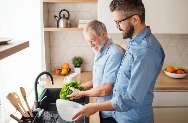 En vuxen hipster son och Senior far inomhus hemma, tvätta grönsaker. — Stockfoto