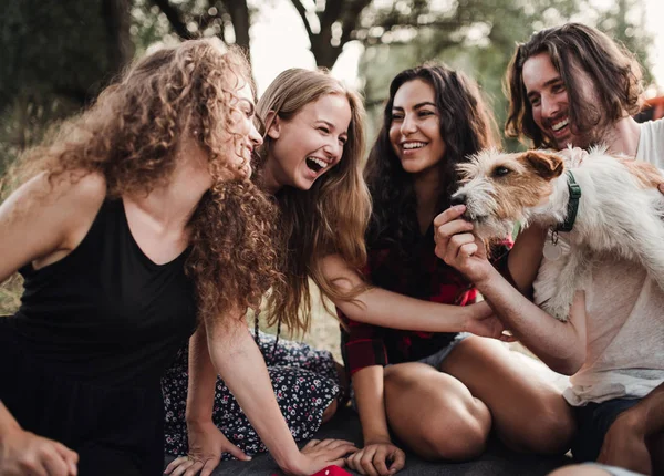 Um grupo de jovens amigos com um cão sentado na grama em uma viagem pelo campo . — Fotografia de Stock