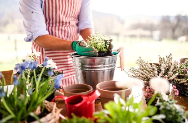 Een midsectie van jonge man Gardener buitenshuis thuis, planten van bloemen. — Stockfoto