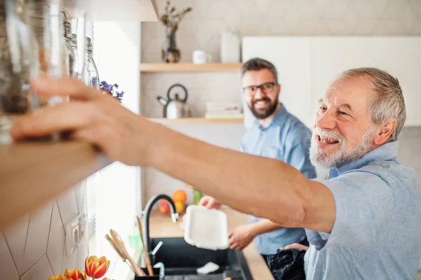 Figlio hipster adulto e padre anziano in cucina a casa, lavando i piatti . — Foto Stock