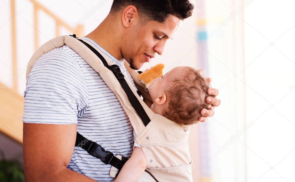 A father with small toddler son in carrier indoors at home.