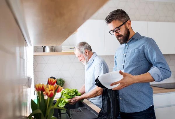 En vuxen hipster son och Senior far inomhus hemma, tvätta grönsaker. — Stockfoto