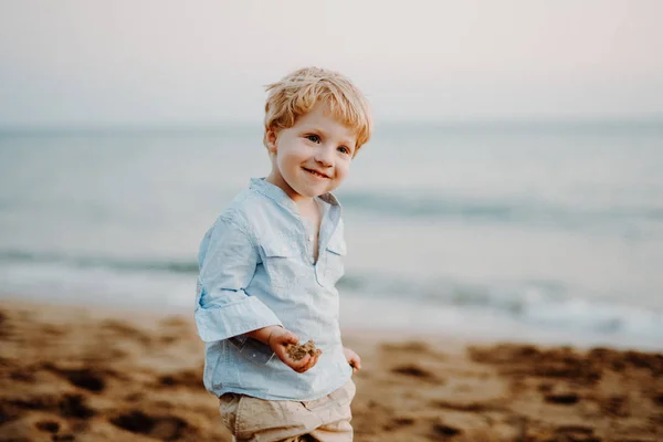 Ett porträtt av små barn pojke stående på stranden på sommarlov. — Stockfoto