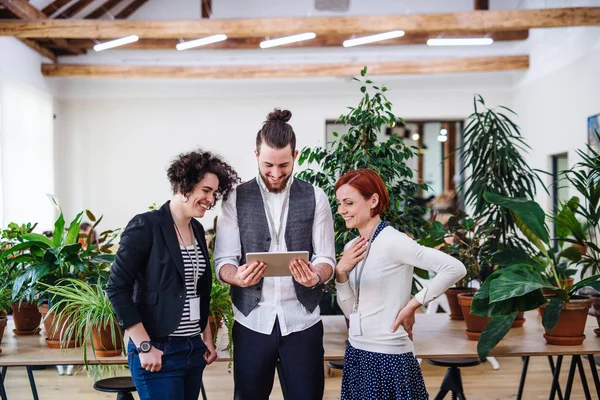 Group of young businesspeople using tablet in office, start-up concept. — Stock Photo, Image