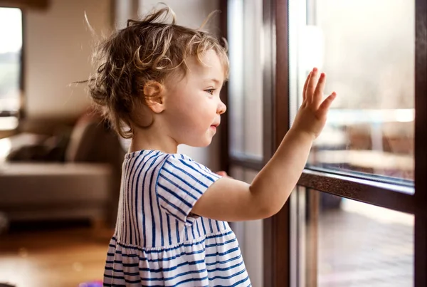 Маленькая девочка, стоящая у окна дома и выглядывающая . — стоковое фото