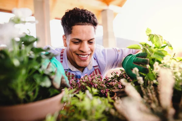 Een portret van jongeman tuinman buitenshuis thuis, planten van bloemen. — Stockfoto