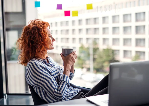 Um retrato de mulher de negócios descansando em um escritório, segurando uma xícara de café . — Fotografia de Stock