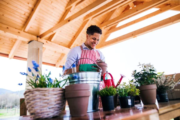 Een portret van jongeman tuinman buitenshuis thuis, planten van bloemen. — Stockfoto