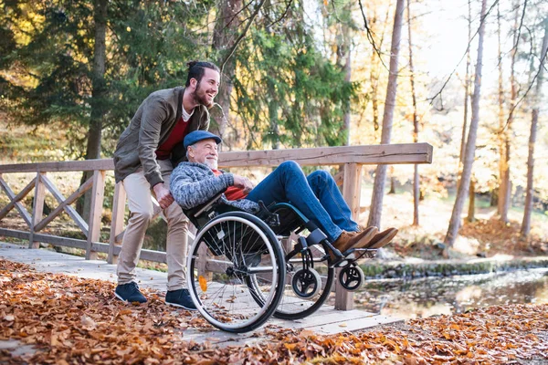 Starszy ojciec z wózkiem inwalidzkim i jego syn na spacer w przyrodzie. — Zdjęcie stockowe