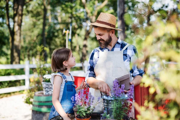 A father with small daughter outdoors on family farm, planting herbs. — Stock Photo, Image