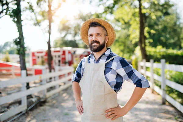 Un ritratto di uomo maturo contadino in piedi all'aperto in fattoria di famiglia. — Foto Stock