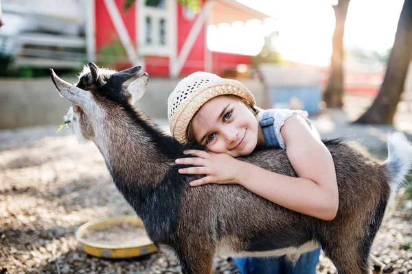 A portrait of small girl outdoors on family animal farm, hugging goat. — Stock Photo, Image