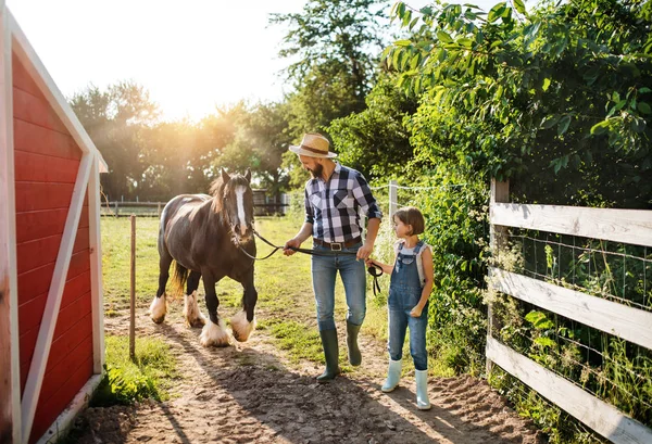 Een volwassen vader met kleine dochter werken op kleine familie dieren boerderij. — Stockfoto