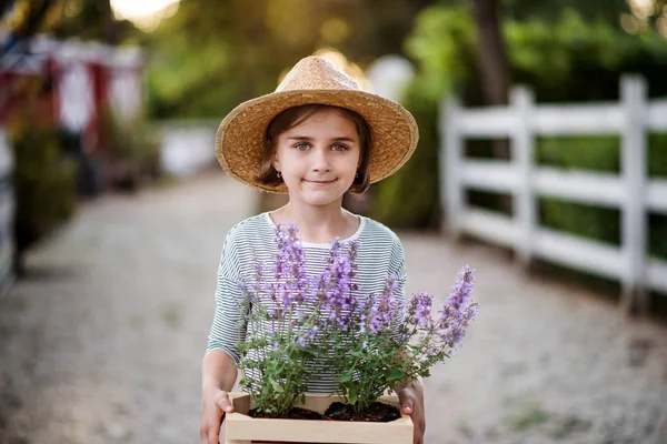 Una vista frontal de una niña pequeña parada al aire libre en la granja familiar, sosteniendo plantas . — Foto de Stock
