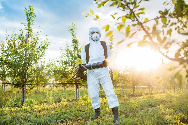 Um agricultor ao ar livre no pomar ao pôr do sol, usando produtos químicos pesticidas . — Fotografia de Stock