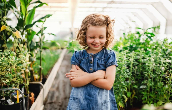 Portrait of small girl standing in the greenhouse, grimacing. — Stok Foto